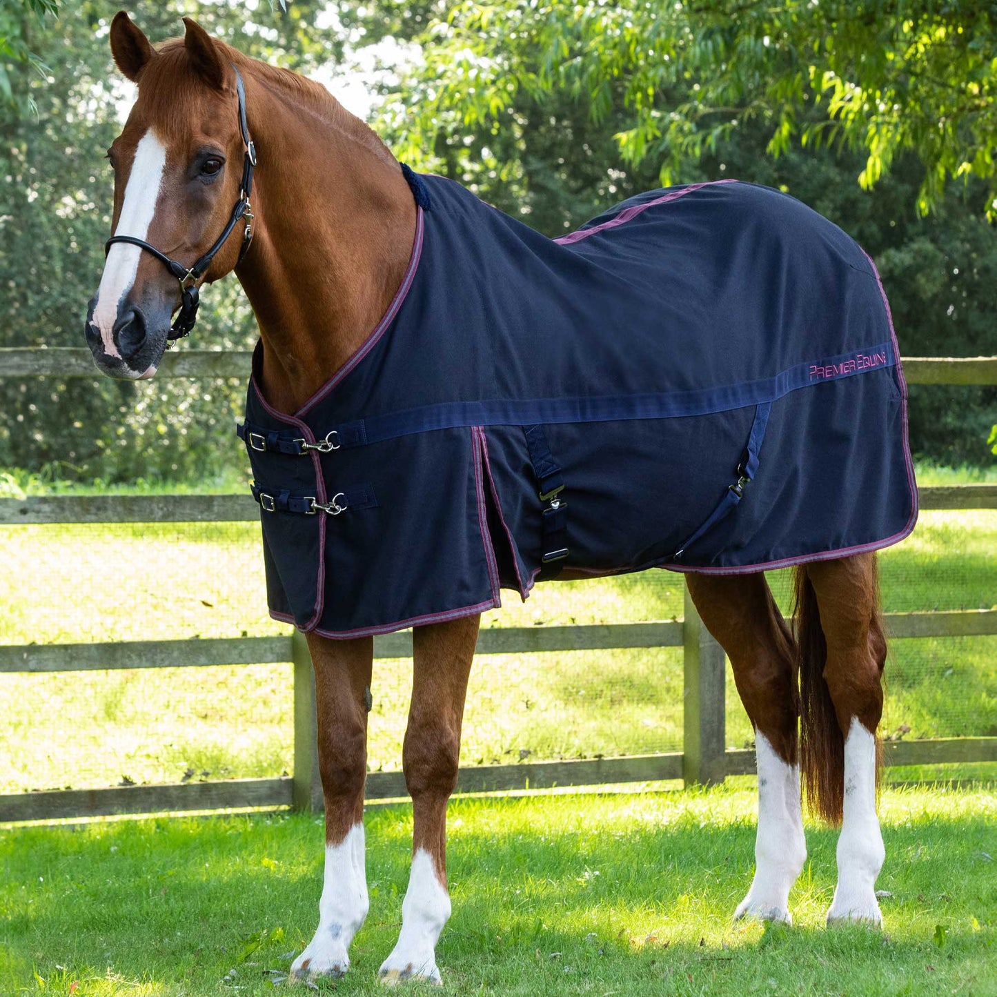 Chemise d’écurie Premier Equine Barrasso – Couverture de Luxe Durable et Respirante