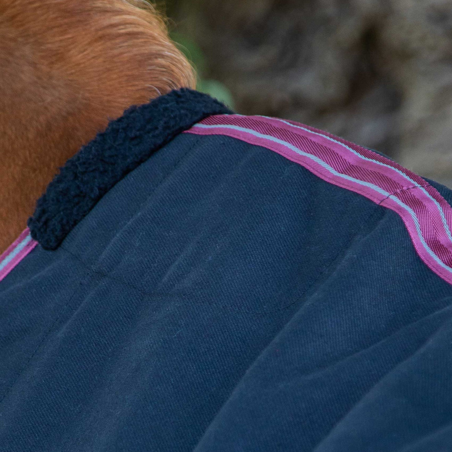 Chemise d’écurie Premier Equine Barrasso – Couverture de Luxe Durable et Respirante
