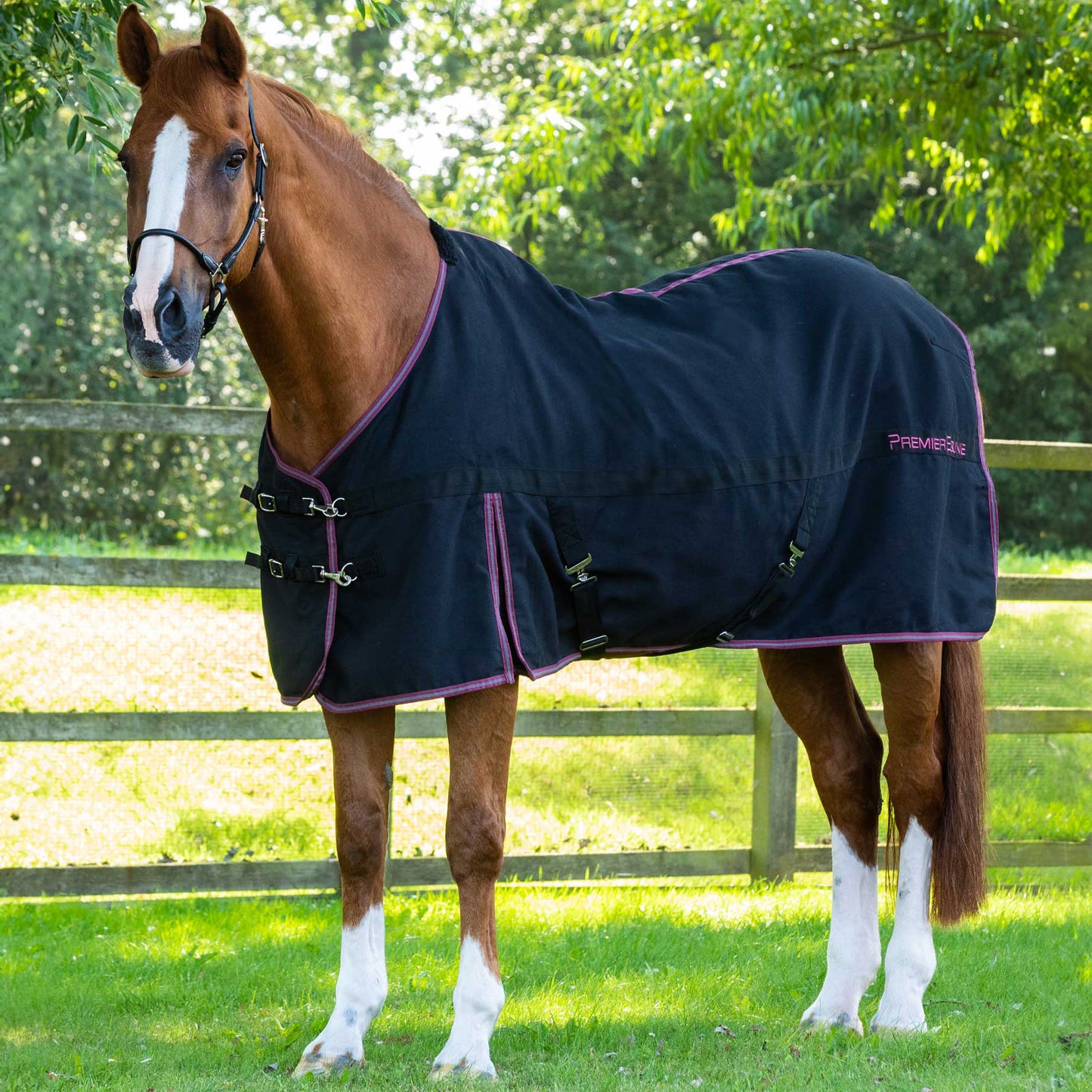 Chemise d’écurie Premier Equine Barrasso – Couverture de Luxe Durable et Respirante