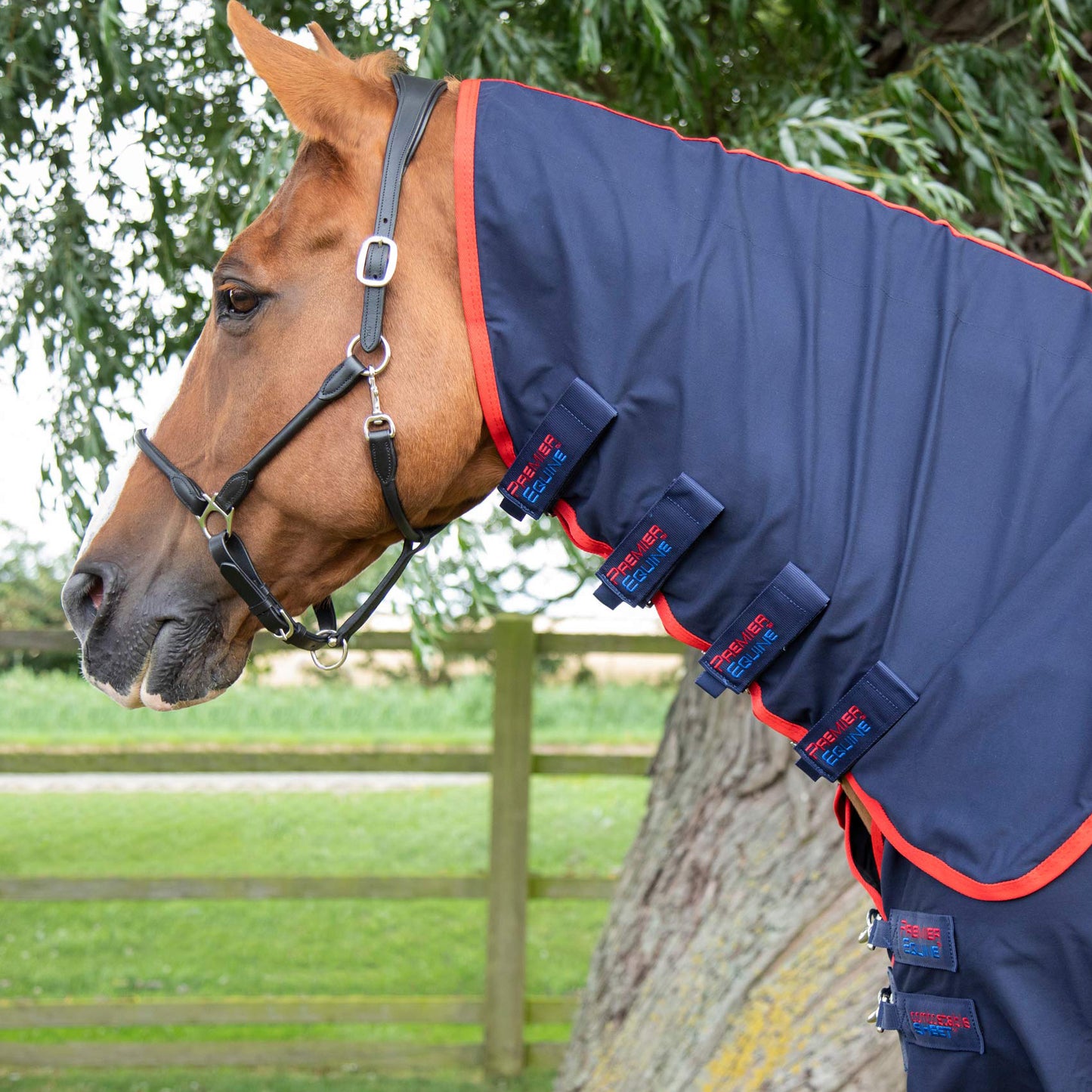 Chemise d’écurie Premier Equine Combo Sheet – Confort et Protection Optimale