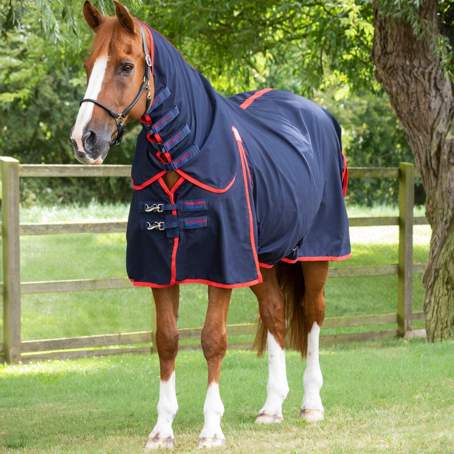 Chemise d’écurie Premier Equine Combo Sheet – Confort et Protection Optimale