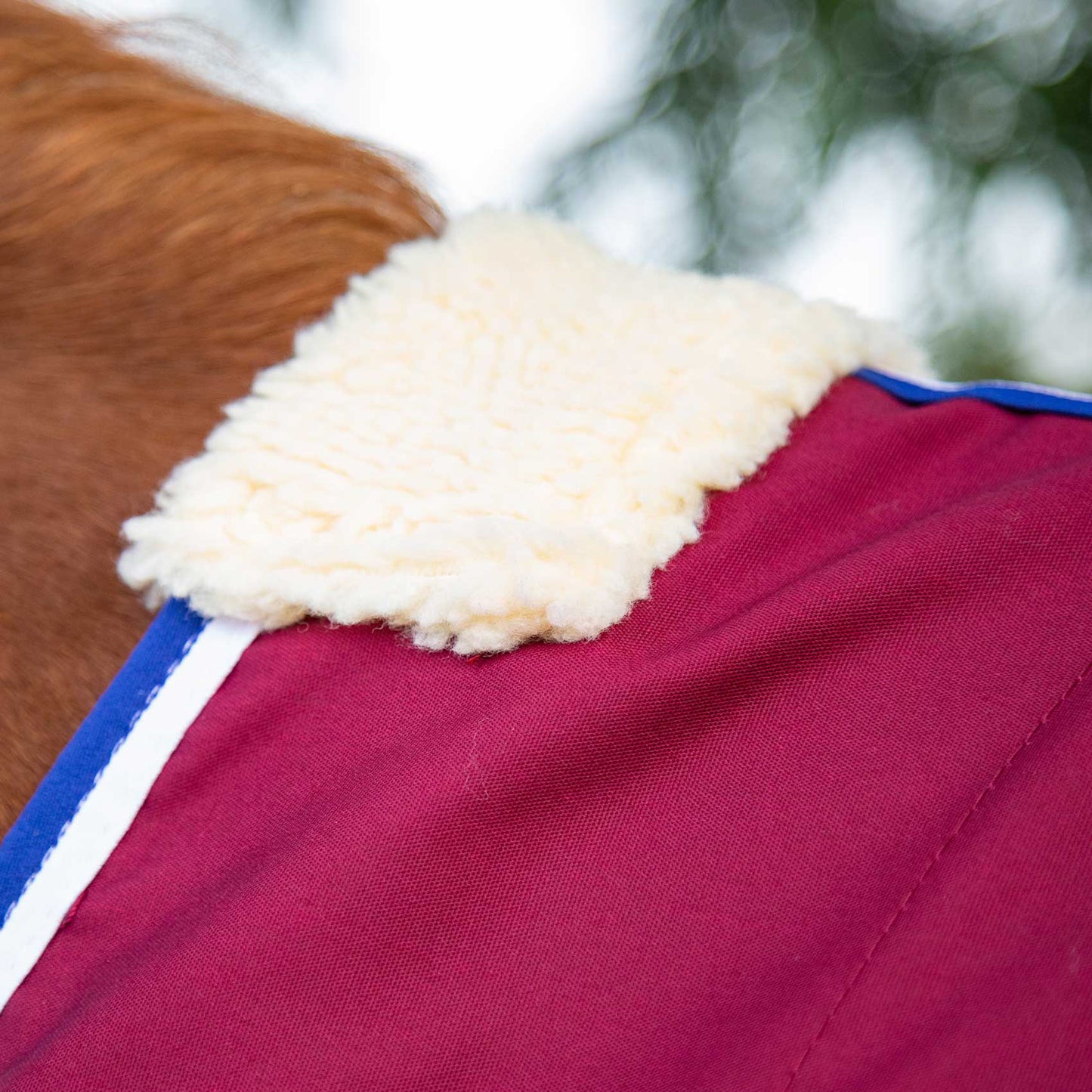 Chemise d’écurie Premier Equine Stratus – Confort Technique et Séchage Rapide