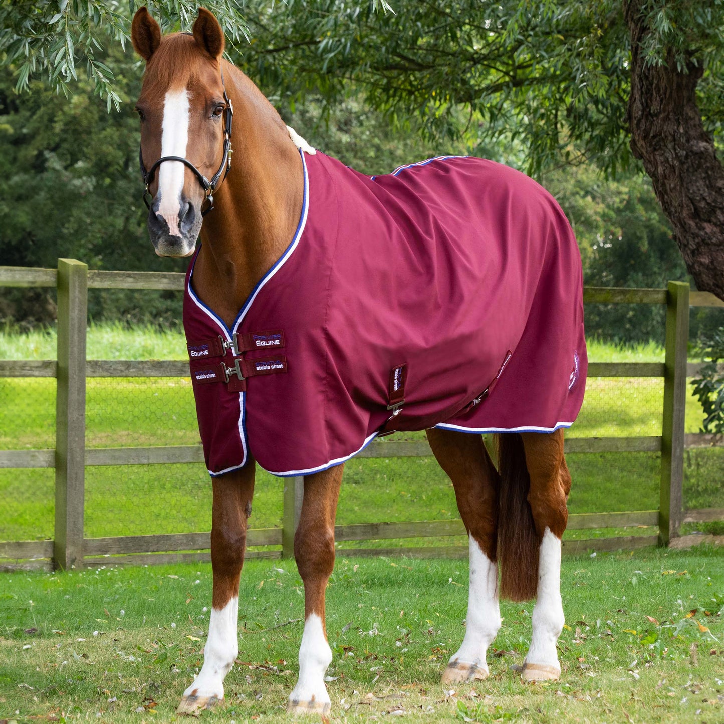 Chemise d’écurie Premier Equine Stratus – Confort Technique et Séchage Rapide