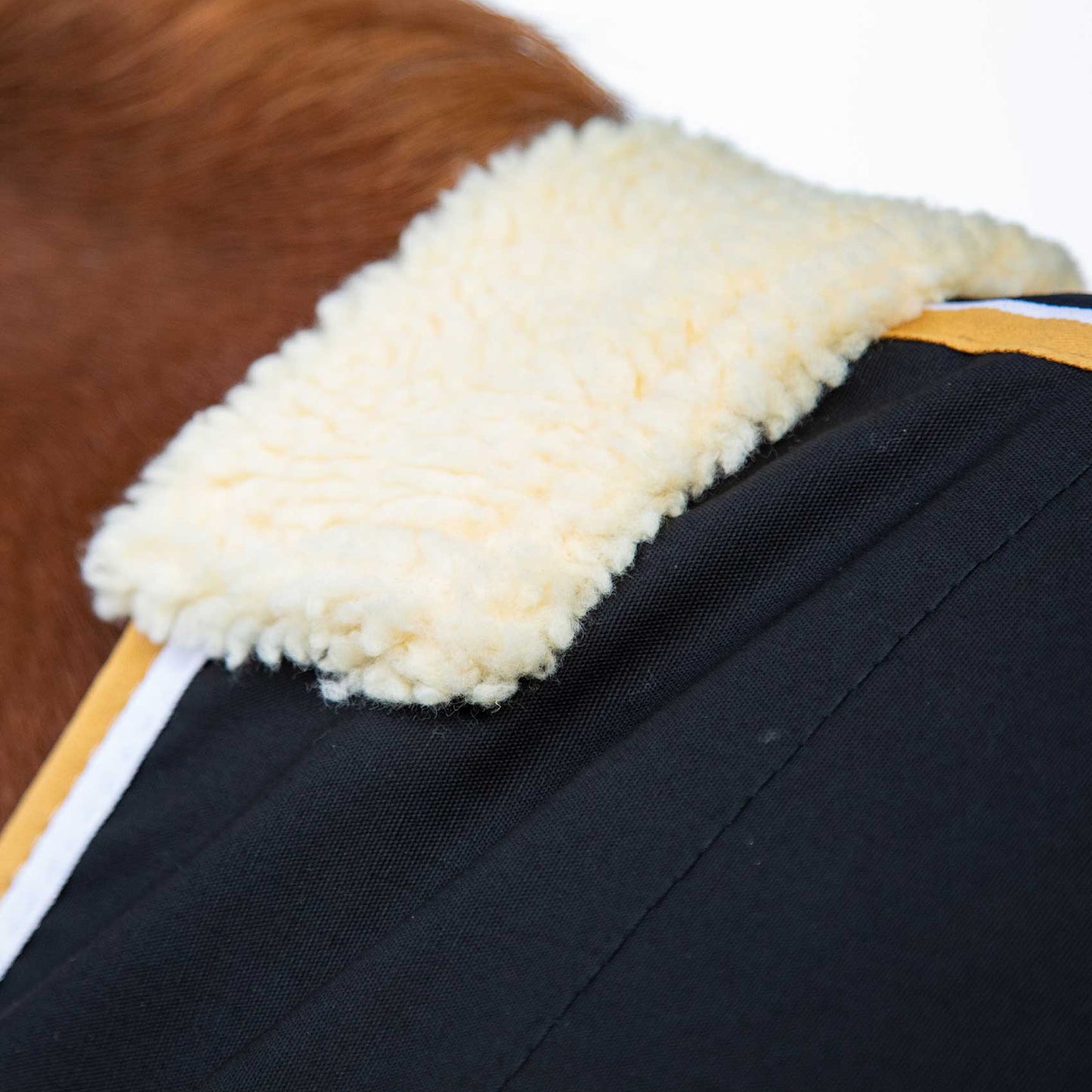 Chemise d’écurie Premier Equine Stratus – Confort Technique et Séchage Rapide
