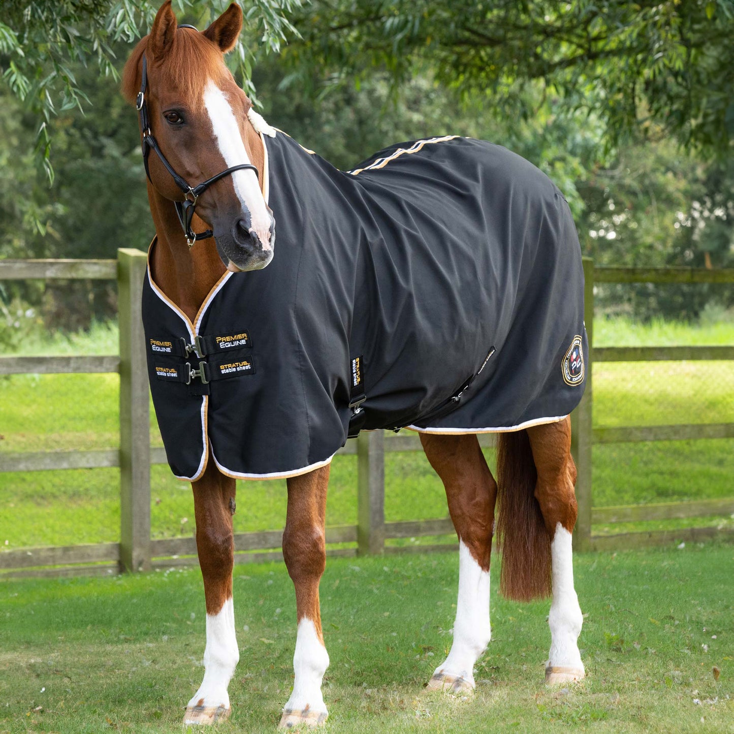 Chemise d’écurie Premier Equine Stratus – Confort Technique et Séchage Rapide