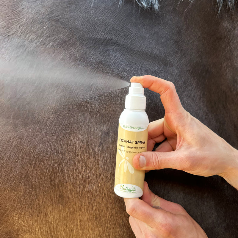 Cicanat Spray - Réparation cutanée Cicatrisation de la peau – Nutragile