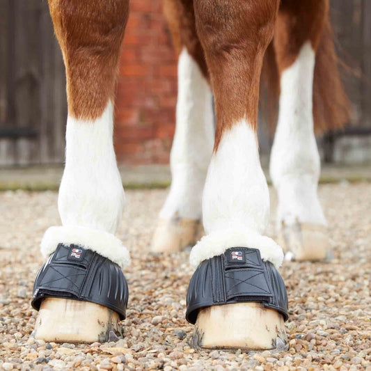 Cloches Techno Wool Rubber Premier Equine – Protection Naturelle et Confort