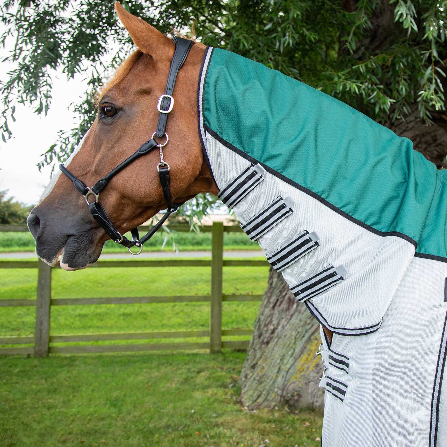 Couverture Anti-Mouches Premier Equine ShowerTex – Imperméable, respirante et protection optimale contre les insectes