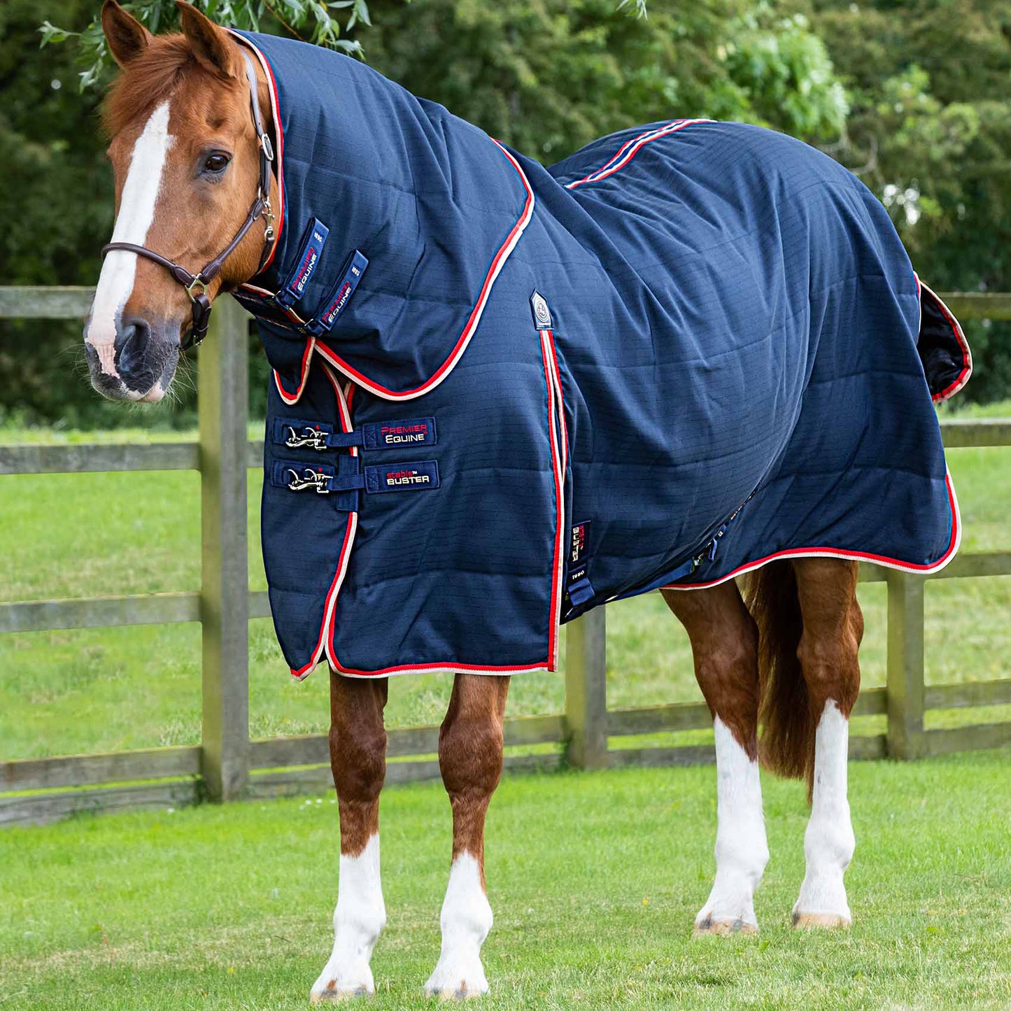 Couverture d’Écurie Buster 100g avec Couvre-Cou Amovible Polyester Ripstop 1000D | Premier Equine