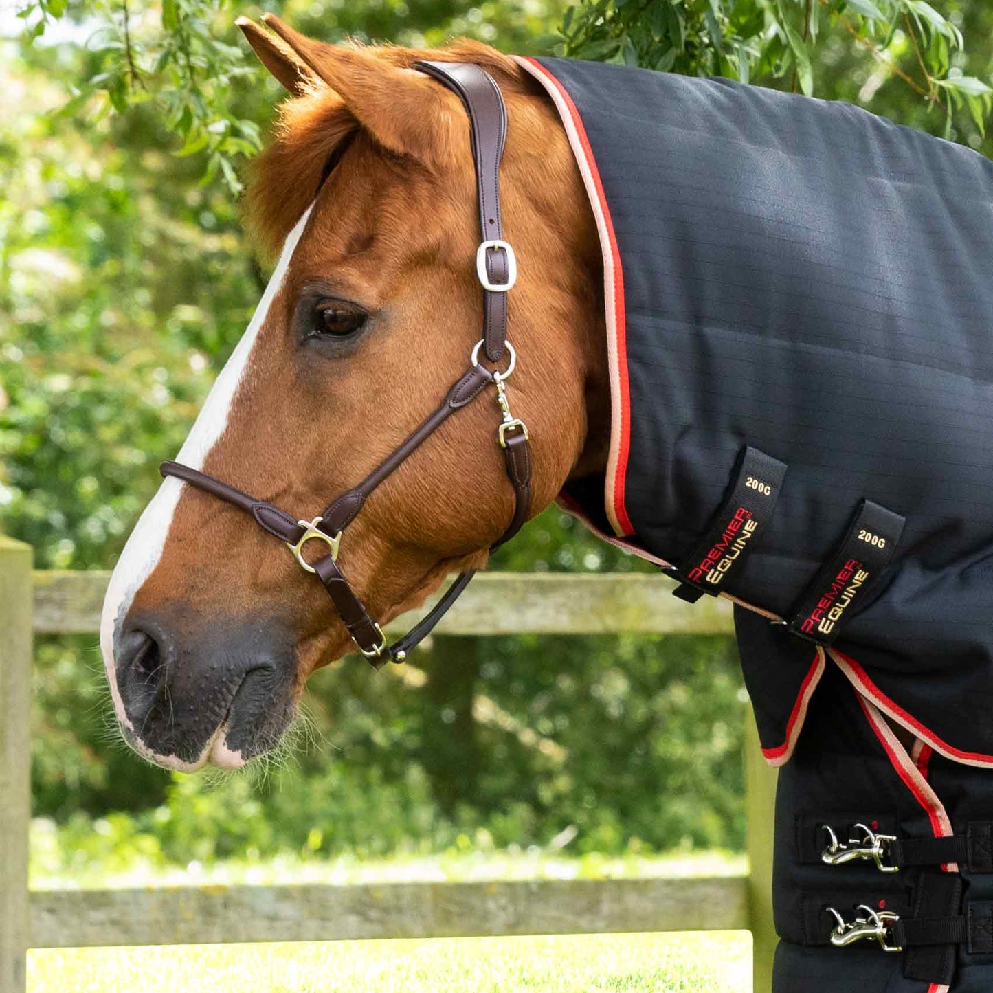 Couverture d’Écurie Buster 200g avec Couvre-Cou Amovible Polyester Ripstop 1000D | Premier Equine