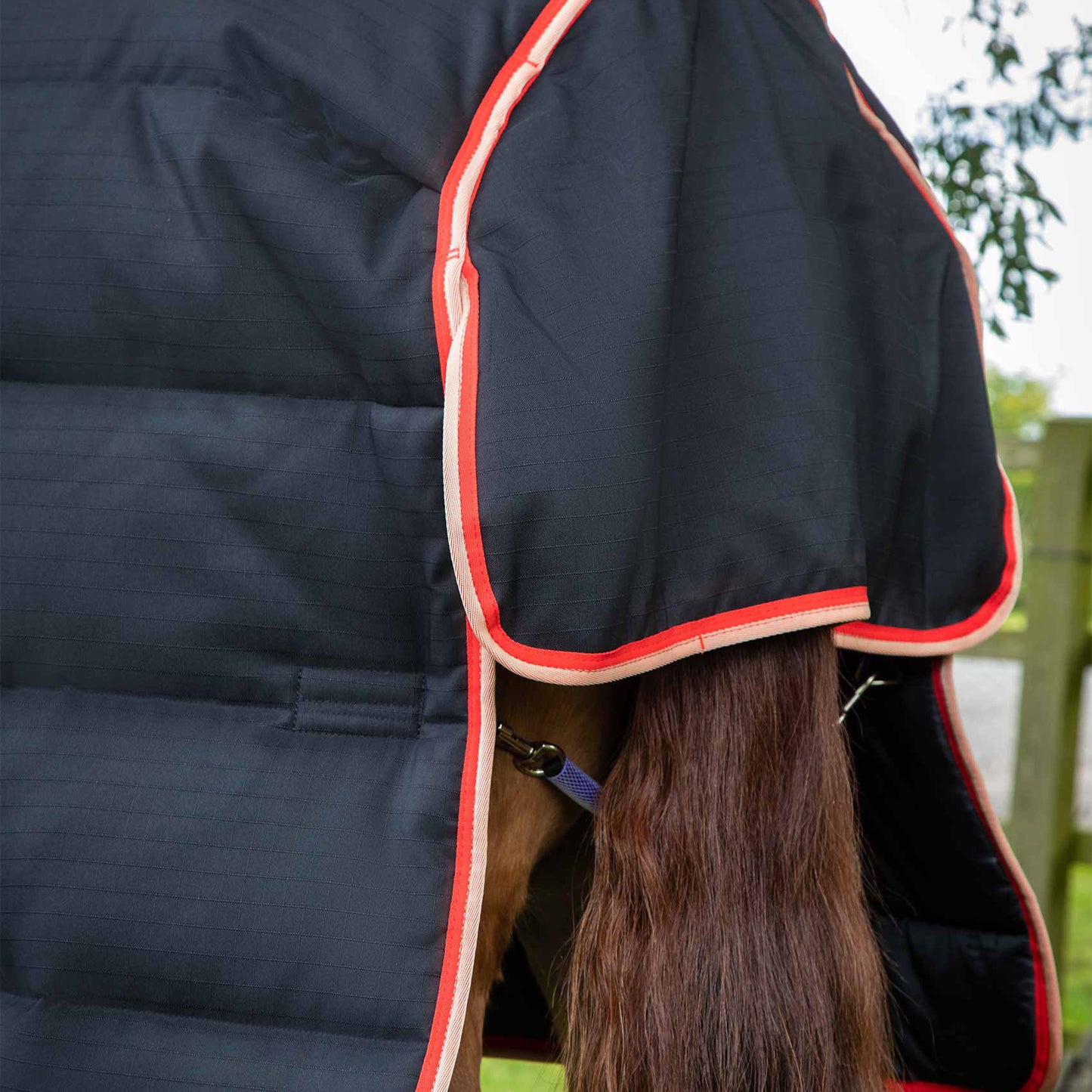 Couverture d’Écurie Buster 200g avec Couvre-Cou Amovible Polyester Ripstop 1000D | Premier Equine