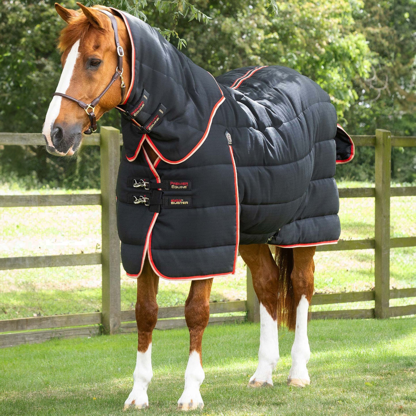 Couverture d’Écurie Buster 200g avec Couvre-Cou Amovible Polyester Ripstop 1000D | Premier Equine