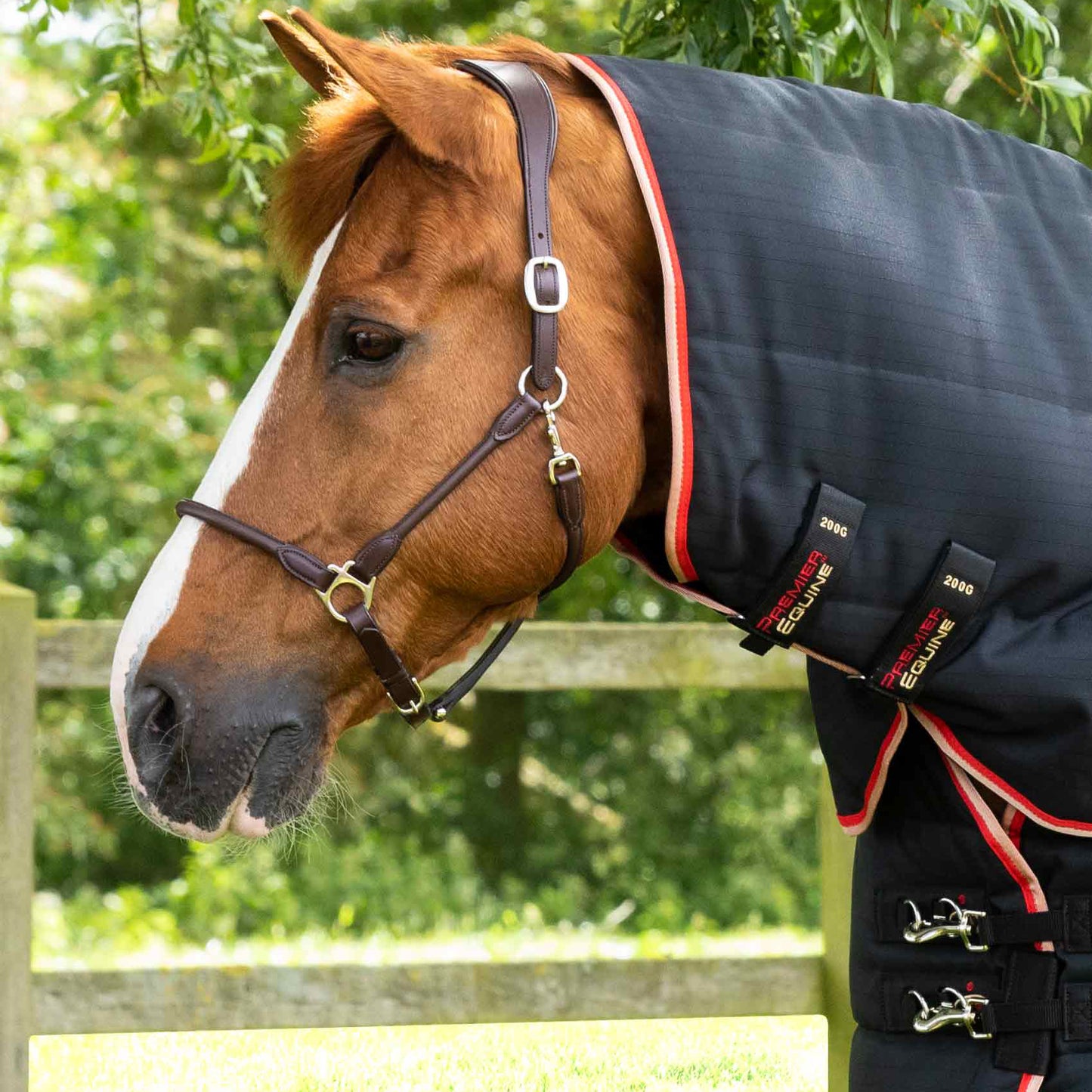 Couverture d’Écurie Buster 450g avec Couvre-Cou Amovible Polyester Ripstop 1000D | Premier Equine