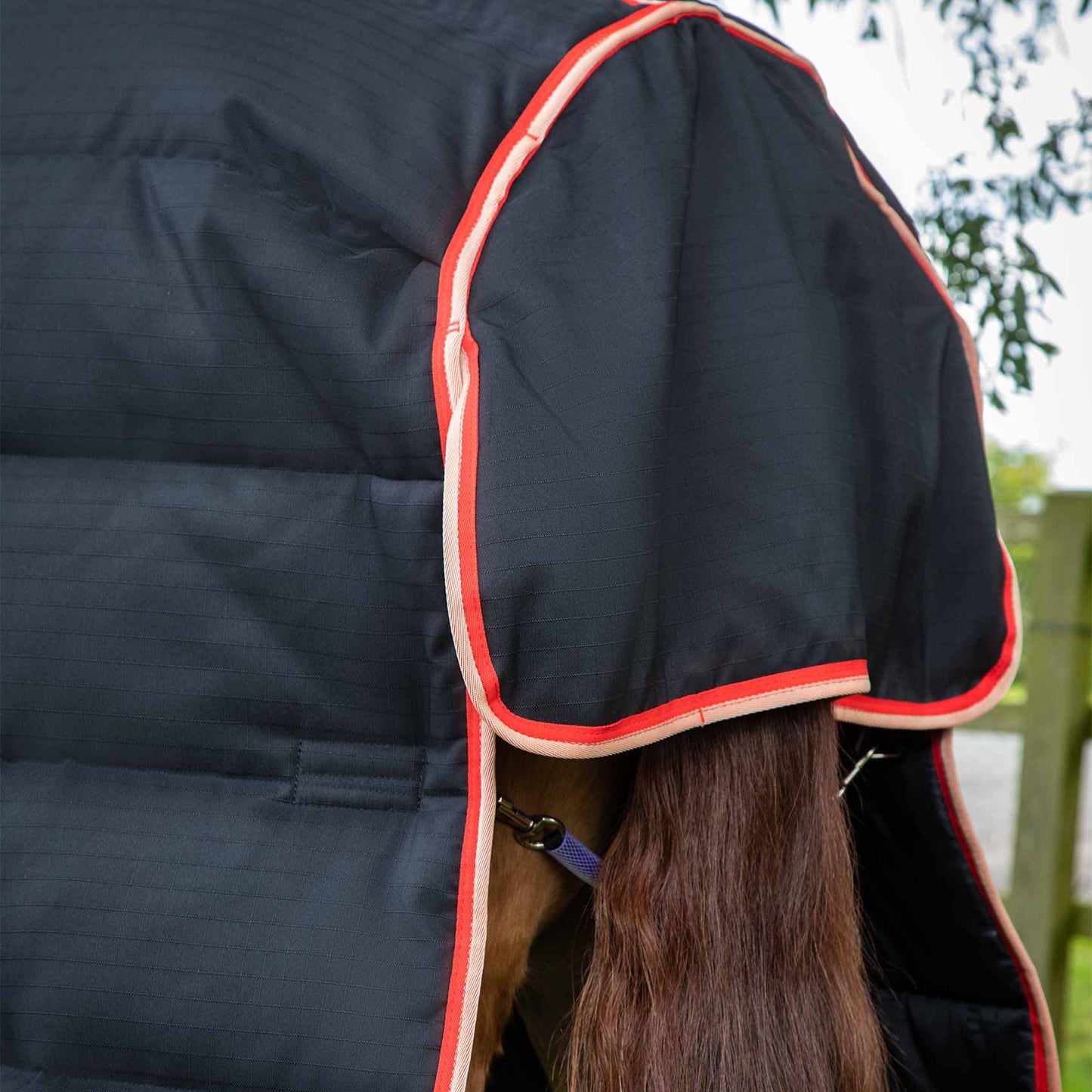 Couverture d’Écurie Buster 450g avec Couvre-Cou Amovible Polyester Ripstop 1000D | Premier Equine