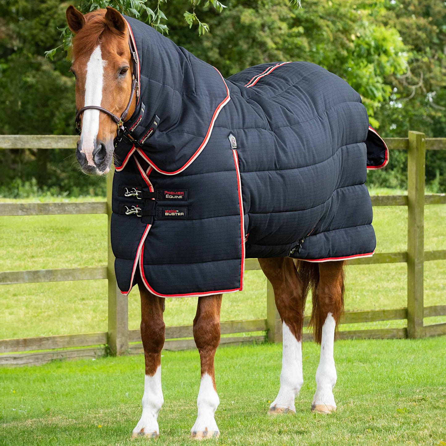 Couverture d’Écurie Buster 450g avec Couvre-Cou Amovible Polyester Ripstop 1000D | Premier Equine