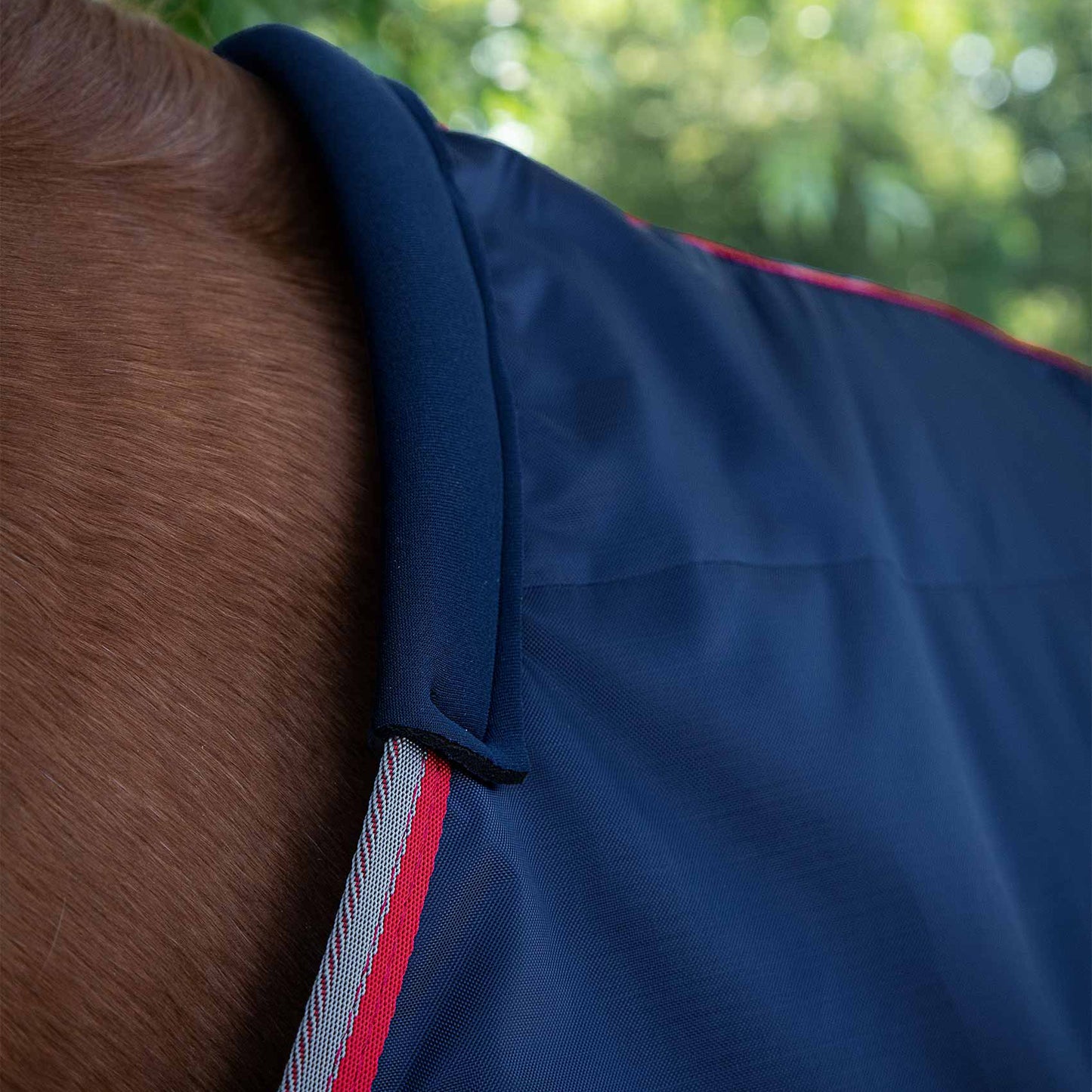 Couverture d’écurie Buster Lite 100g Imperméable Polyester 600D Respirante | Premier Equine