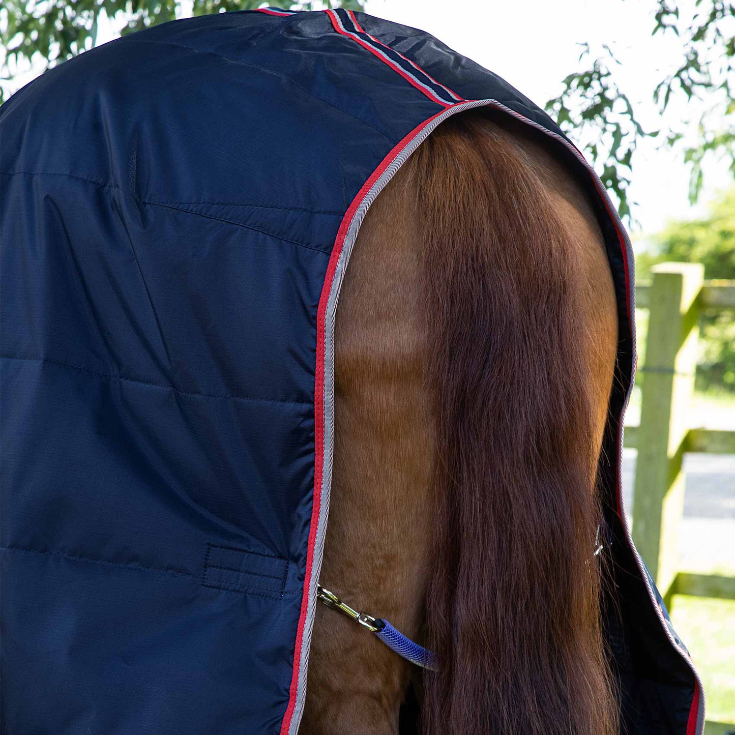 Couverture d’écurie Buster Lite 100g Imperméable Polyester 600D Respirante | Premier Equine