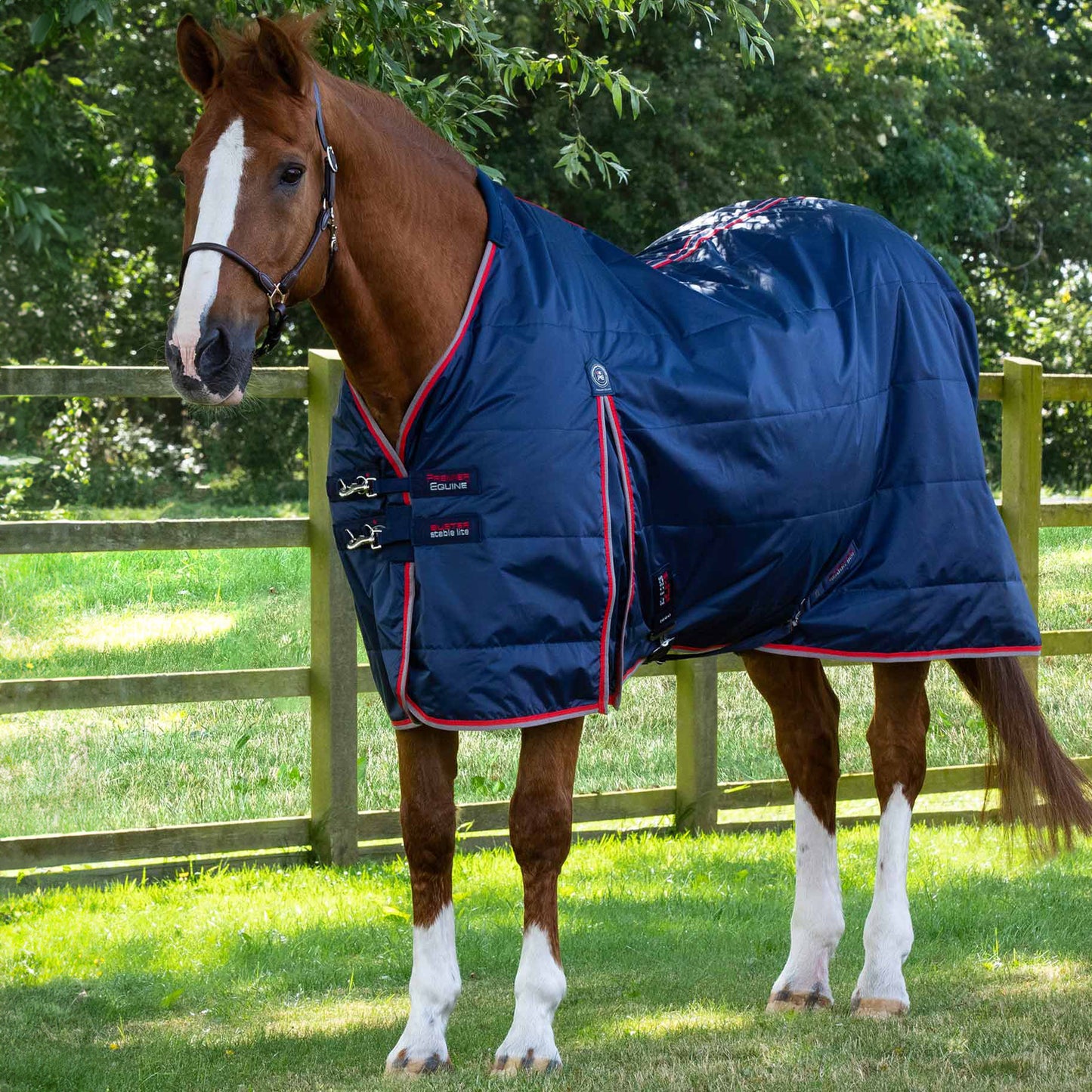 Couverture d’écurie Buster Lite 100g Imperméable Polyester 600D Respirante | Premier Equine