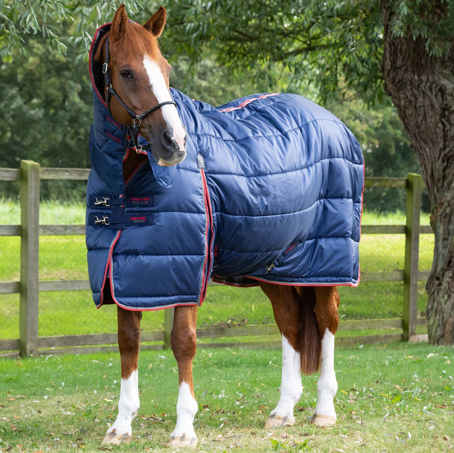 Couverture d’Écurie Combo 400g avec Couvre-Cou | Premier Equine Polyester 420D