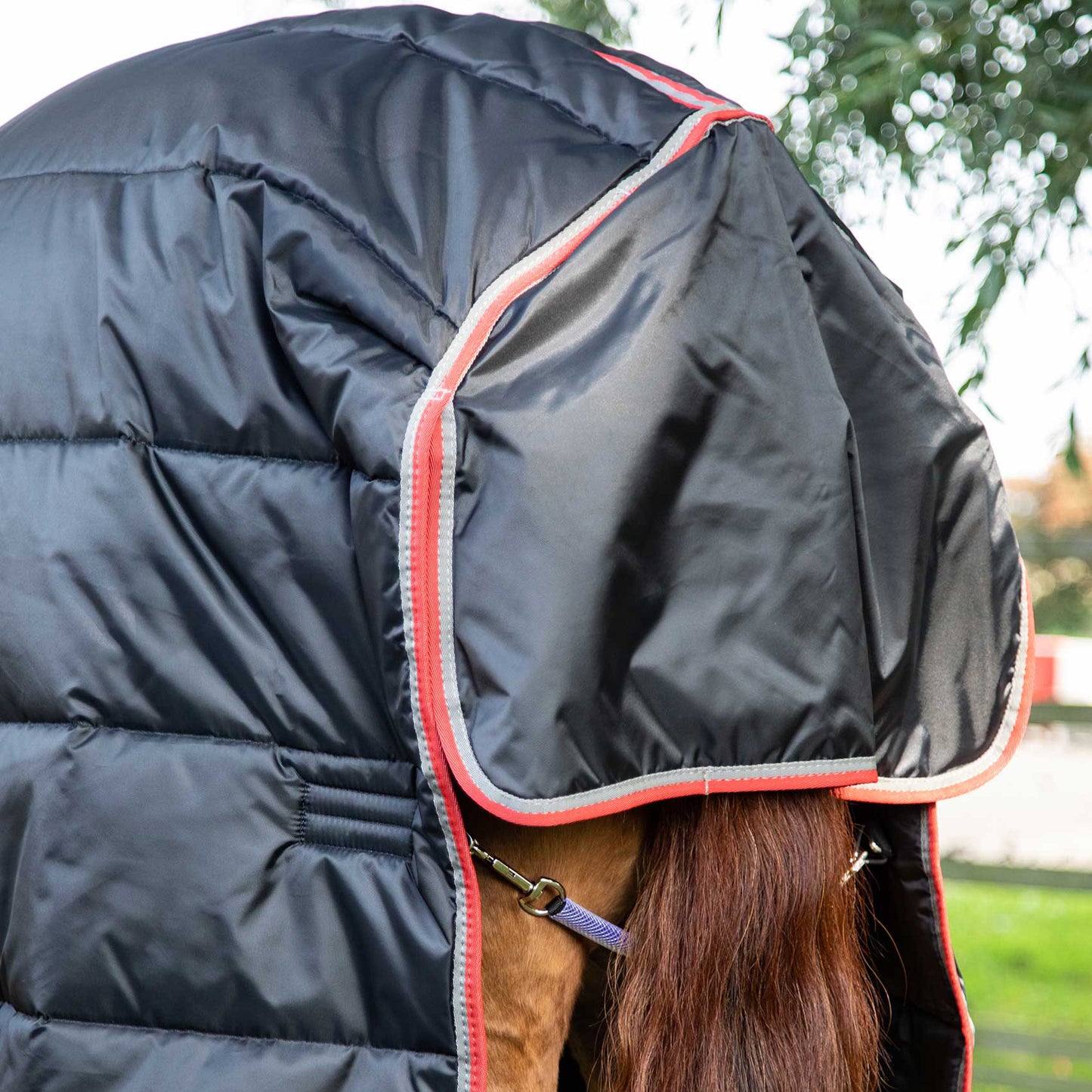Couverture d’Écurie Combo 400g avec Couvre-Cou | Premier Equine Polyester 420D