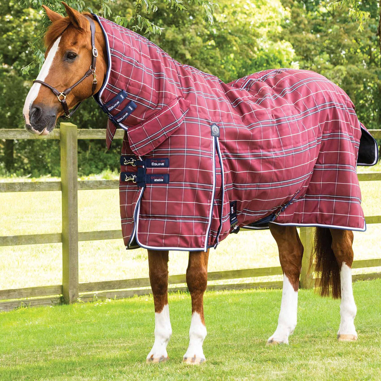 Couverture d’Écurie Domus 200g avec Couvre-Cou Intégré | Premier Equine Polypropylène 1200D