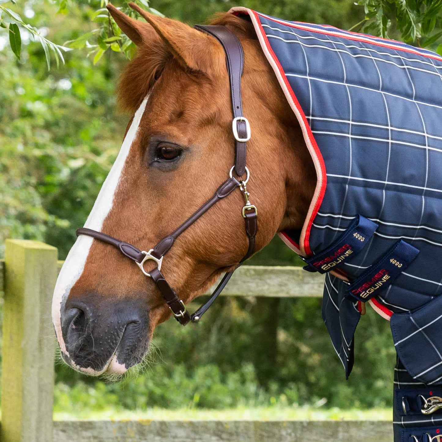 Couverture d’Écurie Domus 400g avec Couvre-Cou Intégré | Premier Equine Polypropylène 1200D