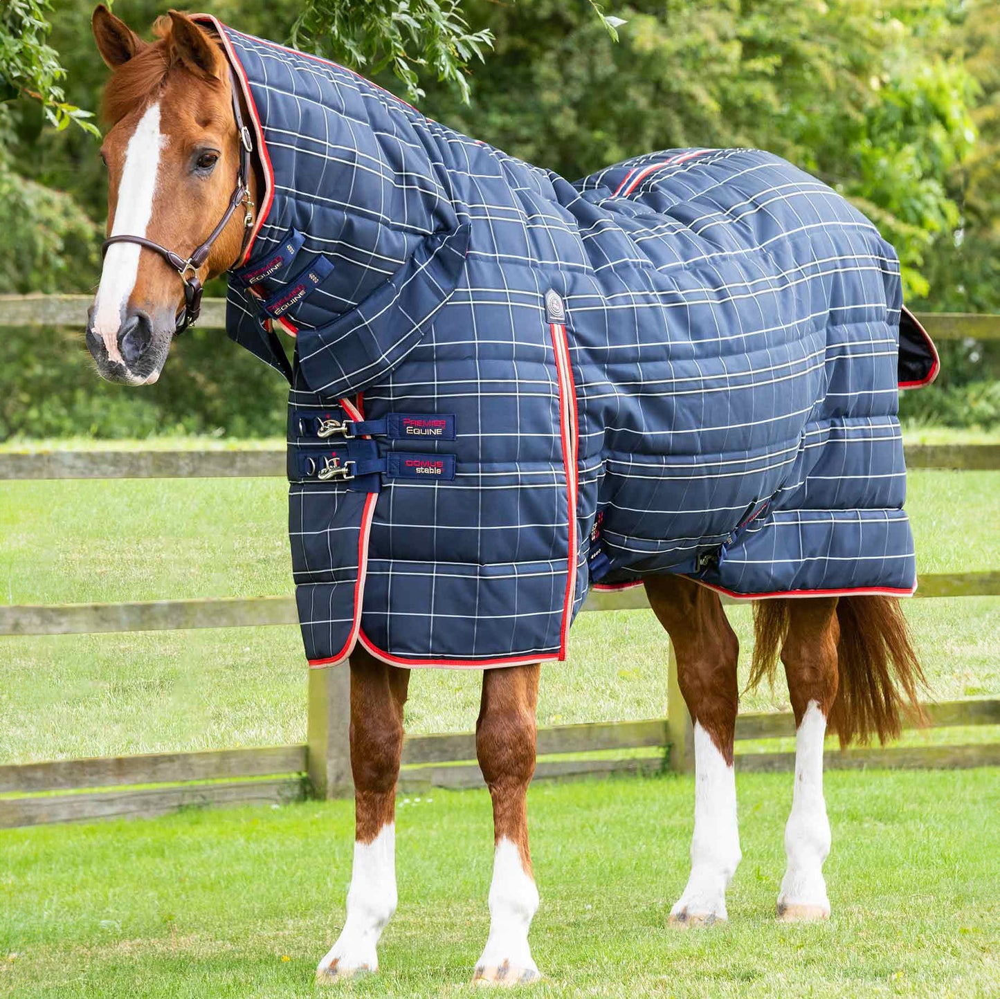 Couverture d’Écurie Domus 400g avec Couvre-Cou Intégré | Premier Equine Polypropylène 1200D