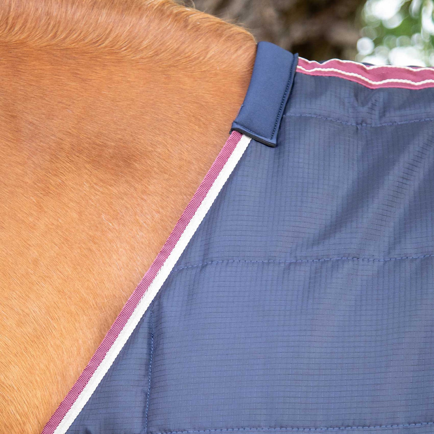 Couverture d’Écurie Garissa 100g Polyester Ripstop 420D Respirant | Premier Equine