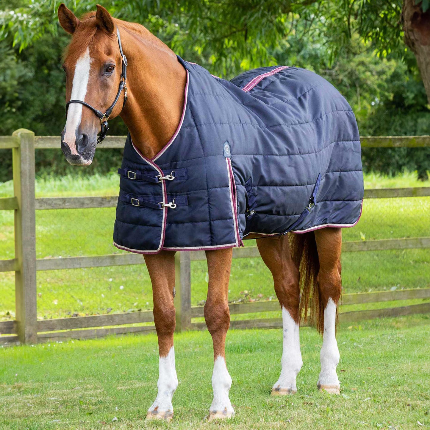 Couverture d’Écurie Garissa 100g Polyester Ripstop 420D Respirant | Premier Equine