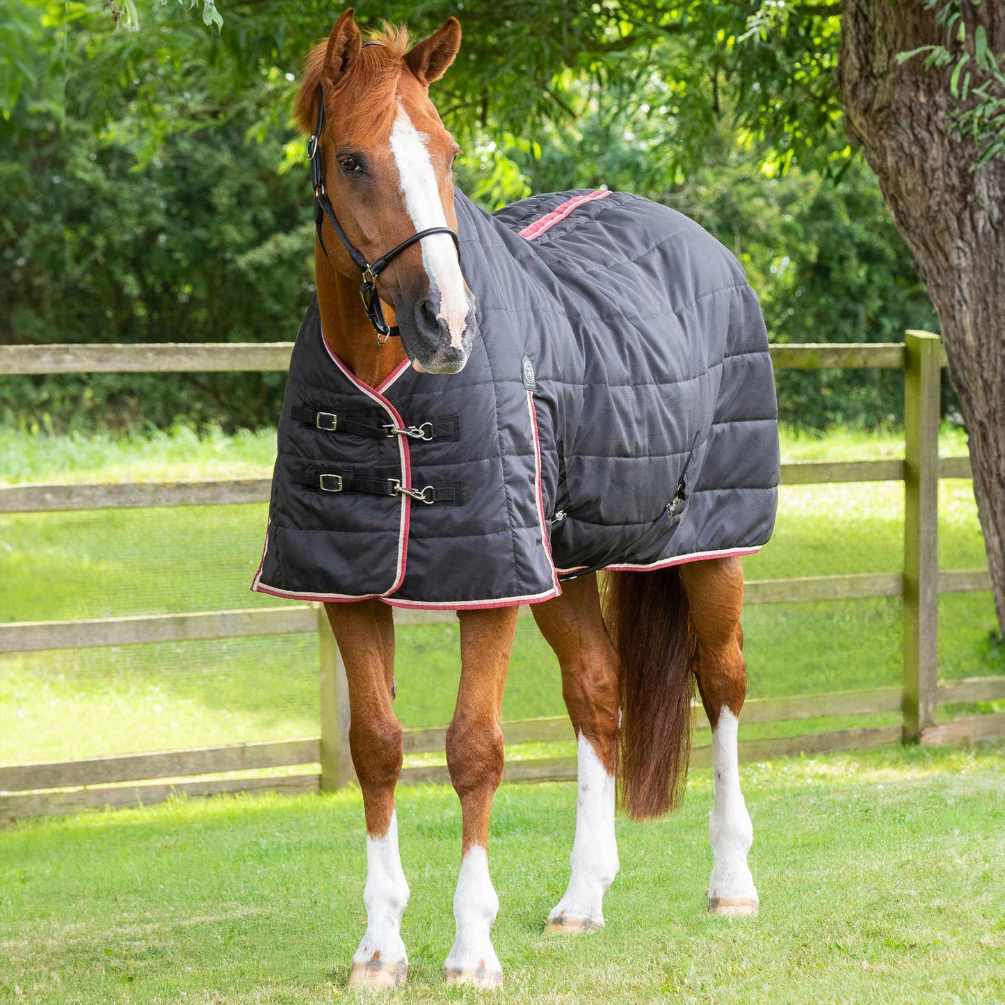 Couverture d’Écurie Garissa 100g Polyester Ripstop 420D Respirant | Premier Equine