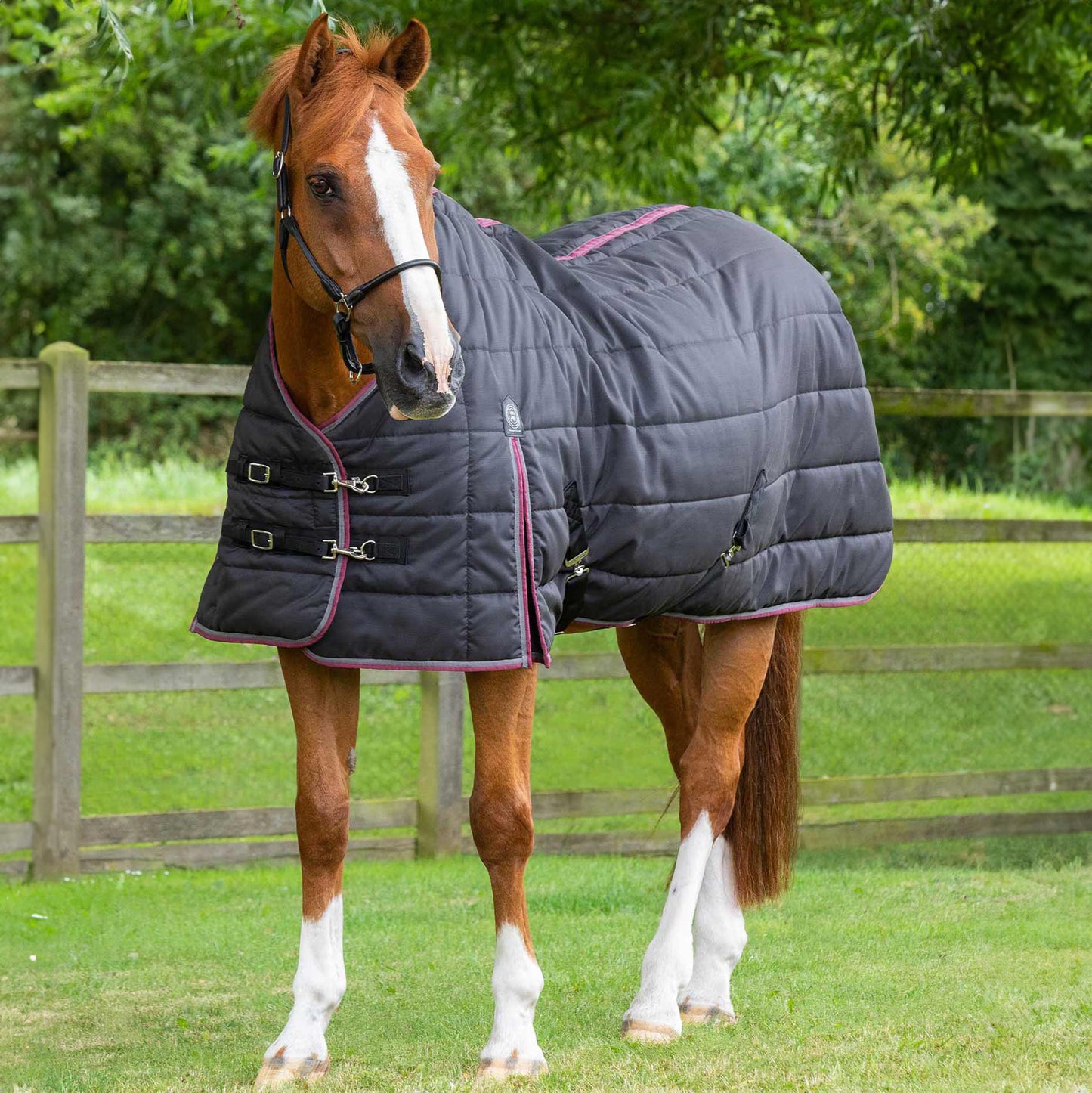 Couverture d’Écurie Garissa 200g Polyester Ripstop 420D Respirant | Premier Equine