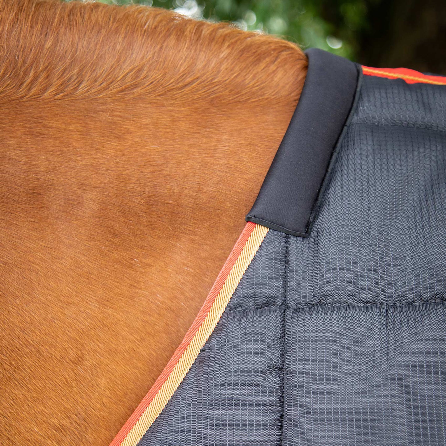 Couverture d’Écurie Garissa 400g Polyester Ripstop 420D Respirant | Premier Equine