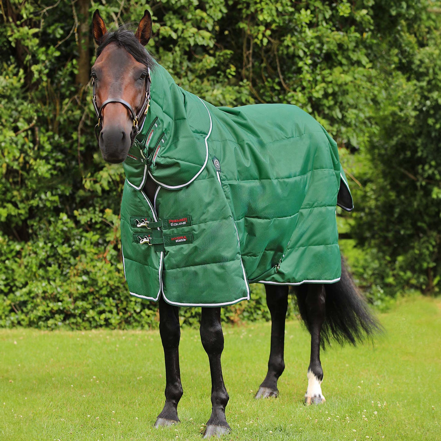 Couverture d’Écurie Hydra 200g avec Couvre Cou Amovible | Polyester 600D avec Revêtement Téflon Résistant