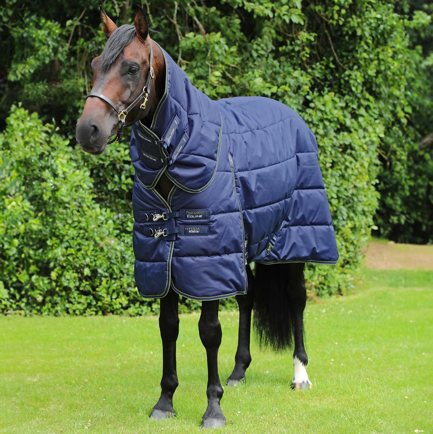 Couverture d’écurie Hydra 350g avec couvre cou – Imperméable et respirante en polyester 600D