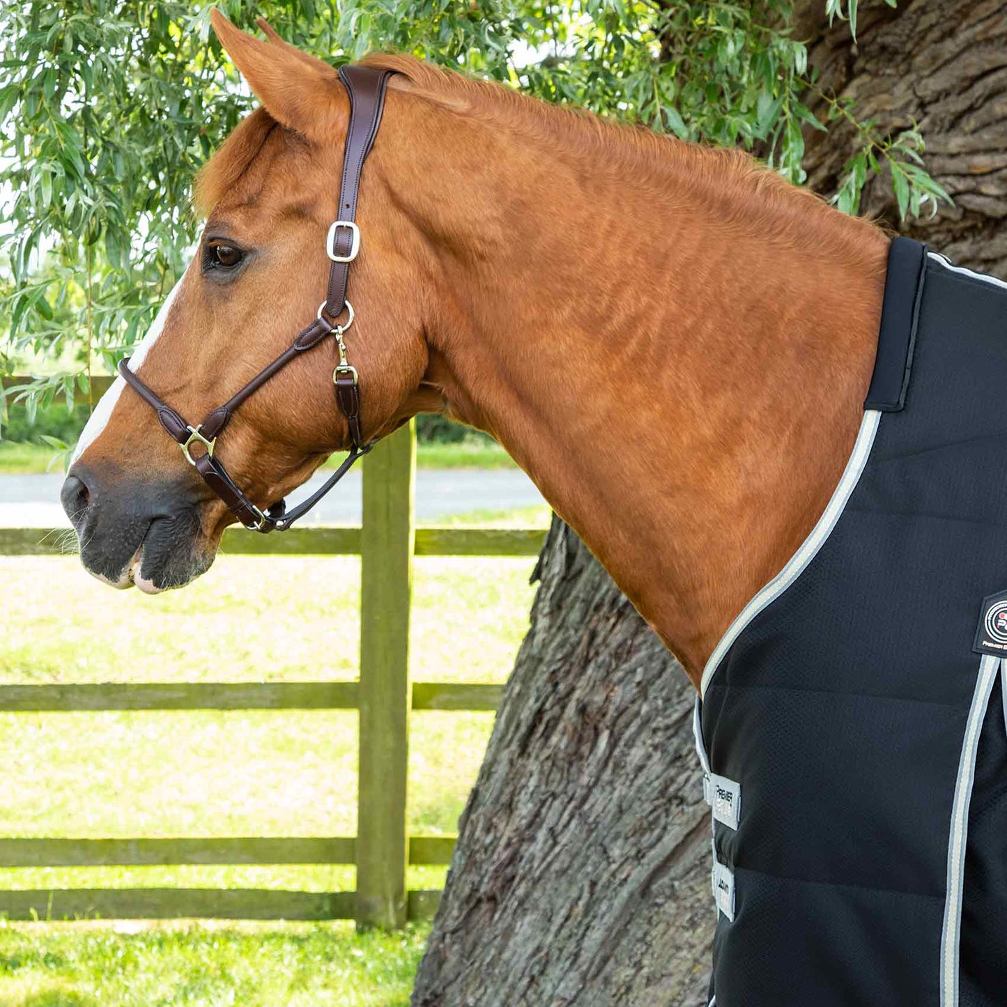 Couverture d’Écurie Lucanta 100g Demi Stable | Polyester 600D Respirant avec Coussin de Garrot