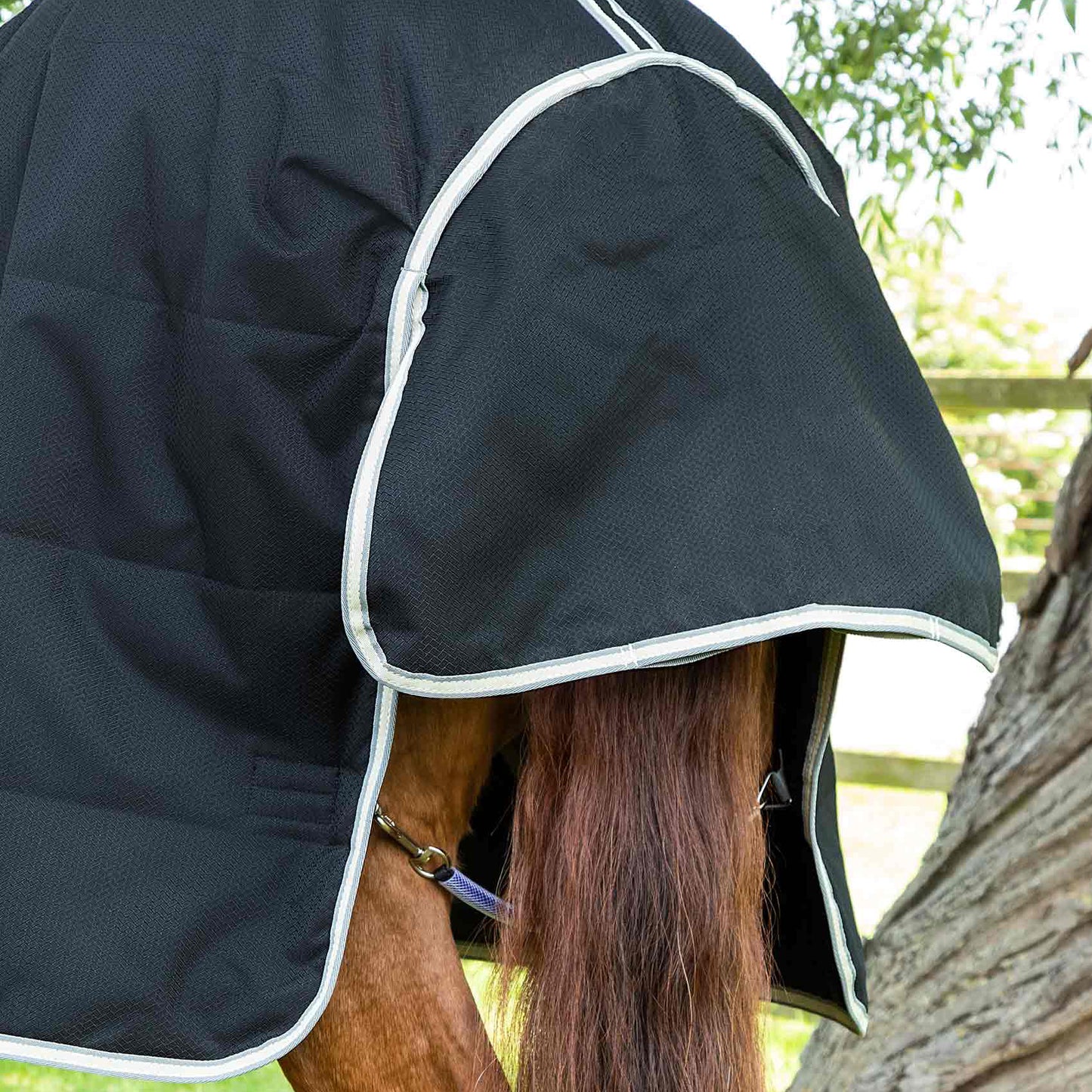 Couverture d’Écurie Lucanta 100g Demi Stable | Polyester 600D Respirant avec Coussin de Garrot