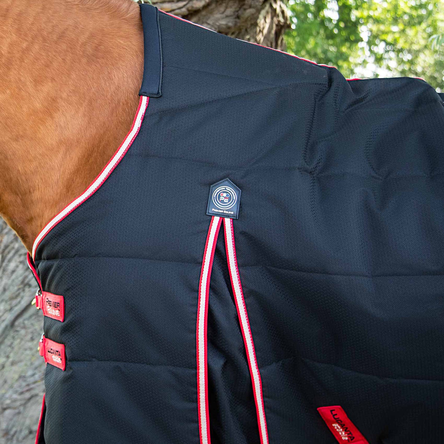 Couverture d’Écurie Lucanta 200g Demi Stable | Polyester 600D Respirant & Coussin de Garrot