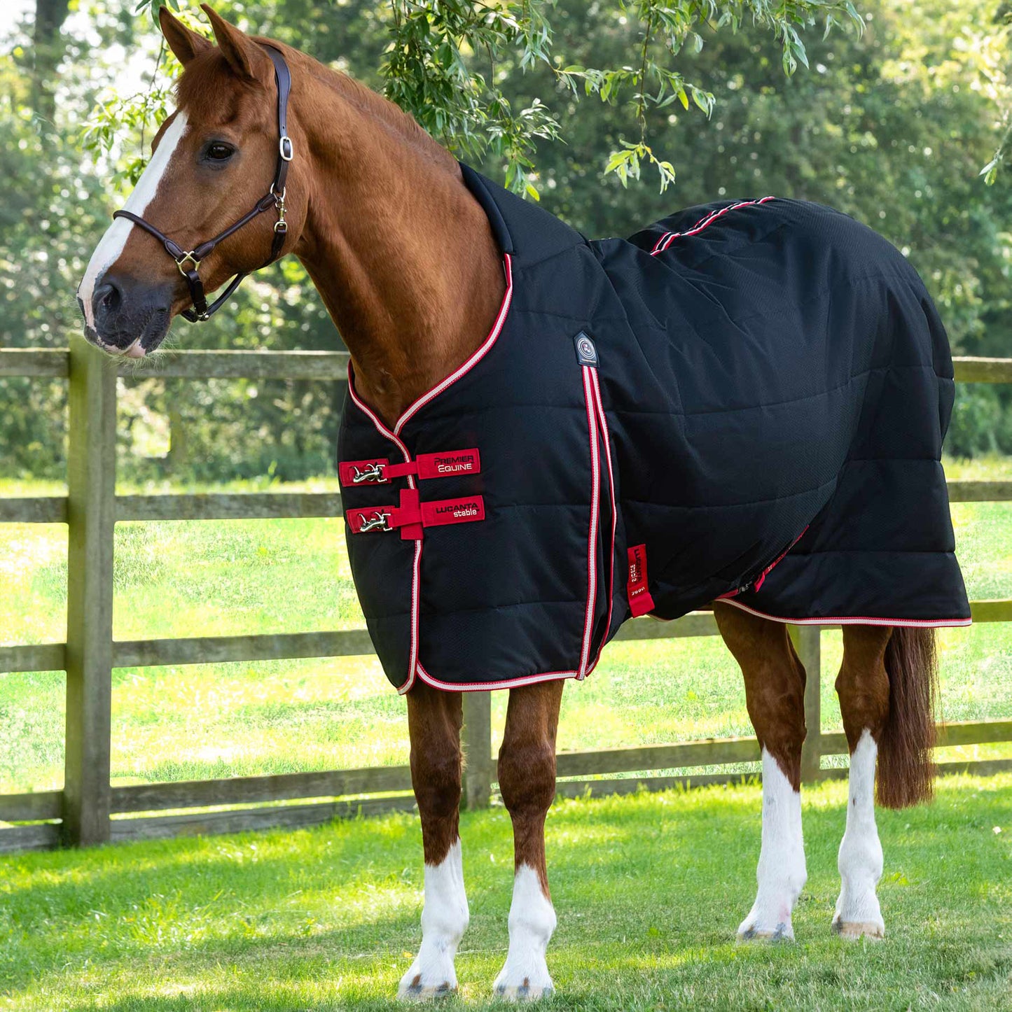 Couverture d’Écurie Lucanta 200g Demi Stable | Polyester 600D Respirant & Coussin de Garrot