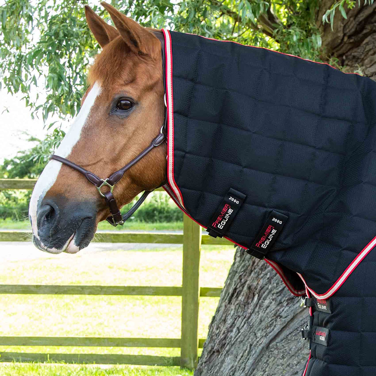 Couverture d’Écurie Lucanta 200g avec Couvre Cou Amovible | Polyester 600D Respirant & Coussin de Garrot