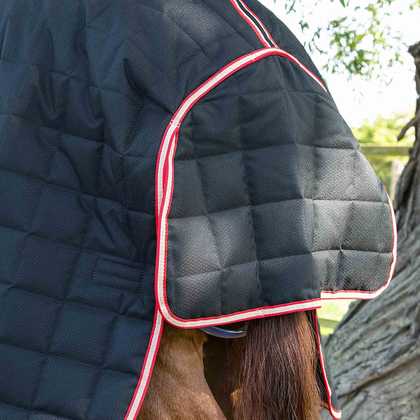 Couverture d’Écurie Lucanta 200g avec Couvre Cou Amovible | Polyester 600D Respirant & Coussin de Garrot