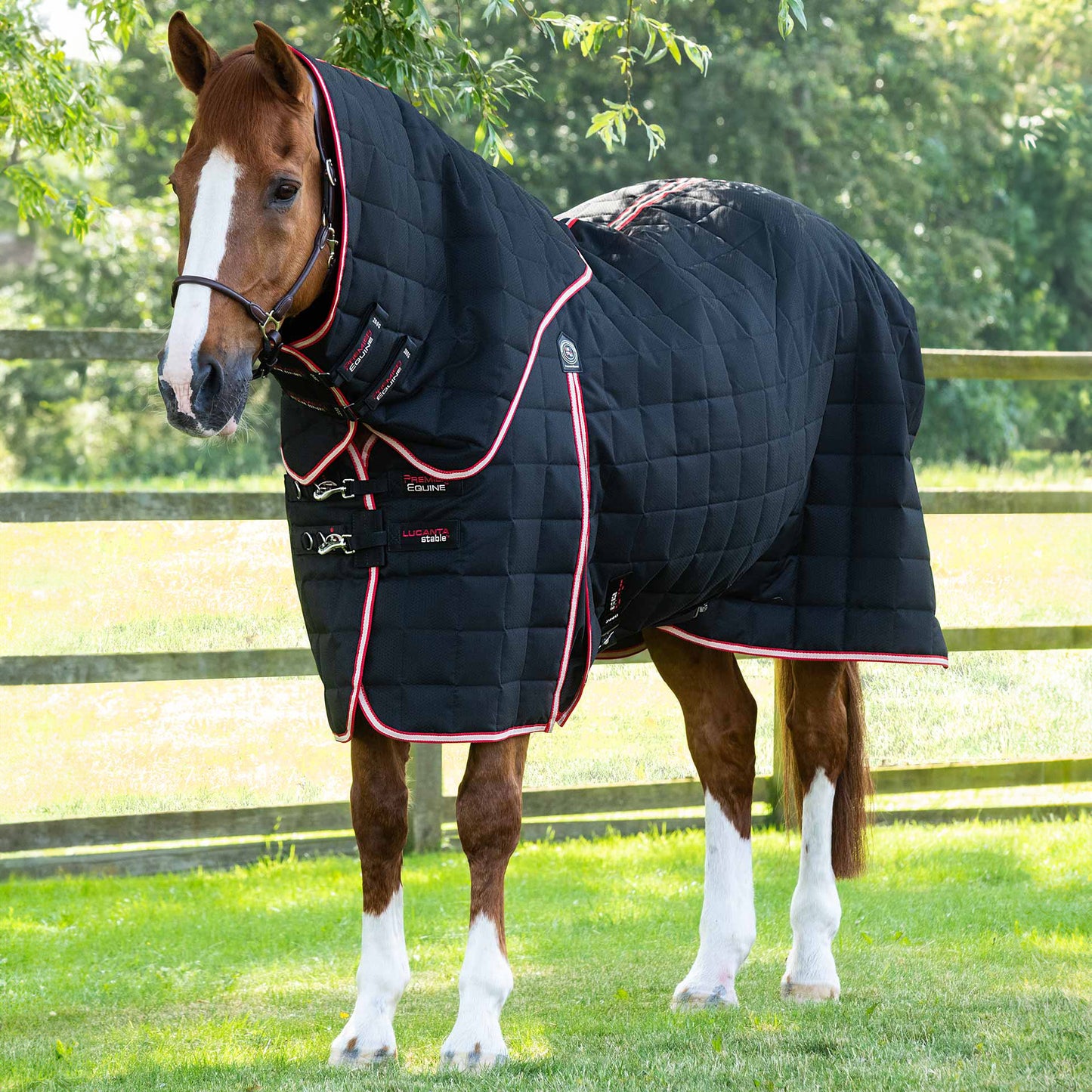 Couverture d’Écurie Lucanta 200g avec Couvre Cou Amovible | Polyester 600D Respirant & Coussin de Garrot