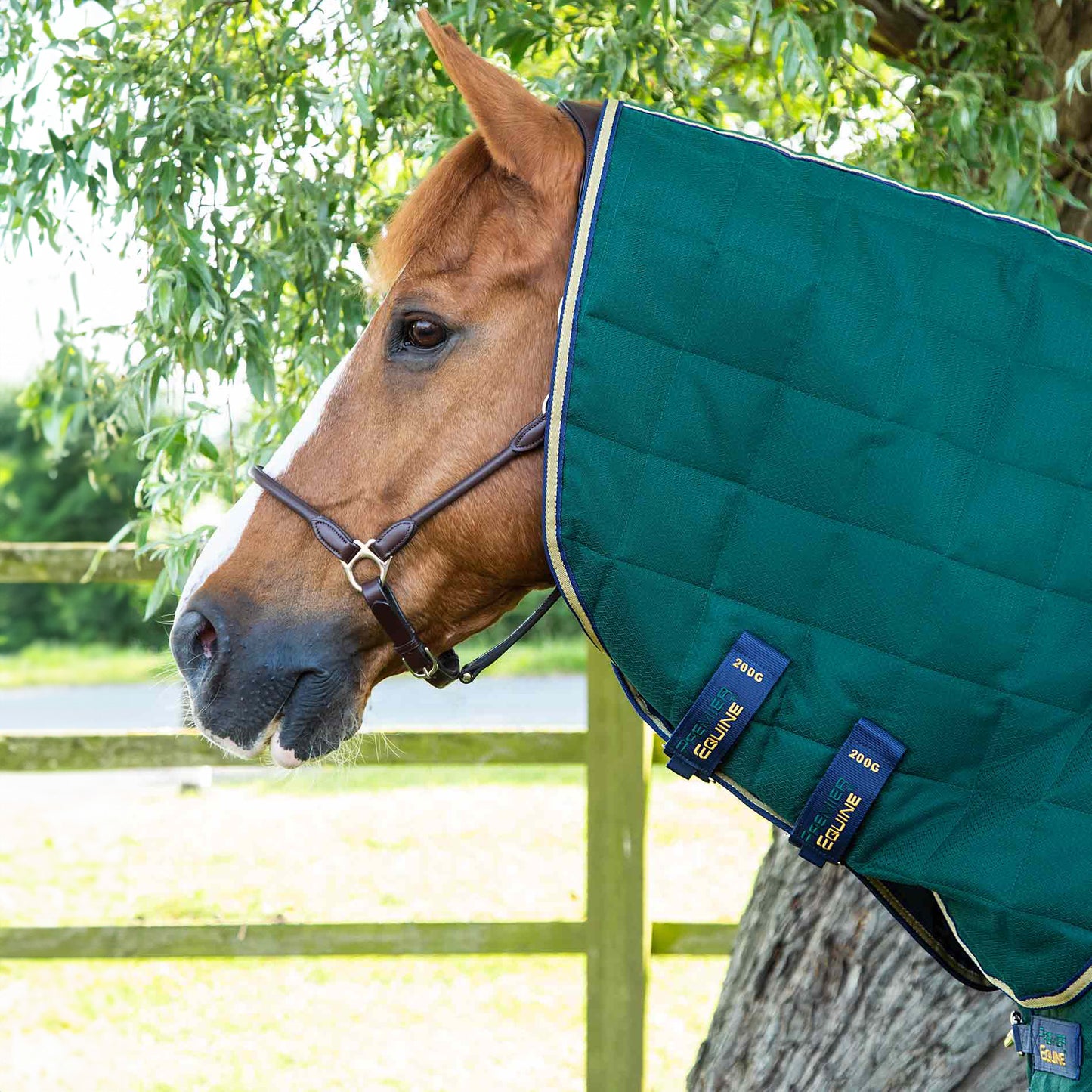 Couverture d’Écurie Lucanta 200g avec Couvre Cou Amovible | Polyester 600D Respirant & Coussin de Garrot