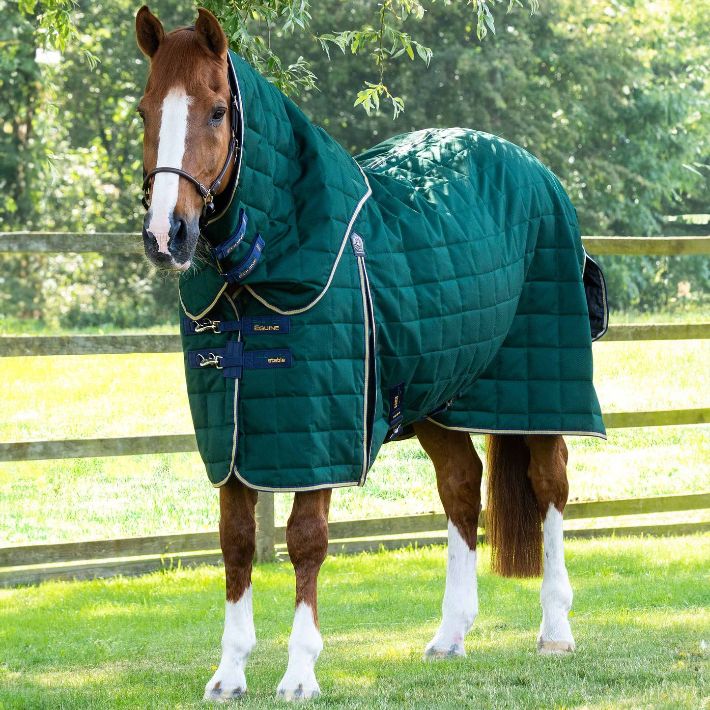 Couverture d’Écurie Lucanta 200g avec Couvre Cou Amovible | Polyester 600D Respirant & Coussin de Garrot