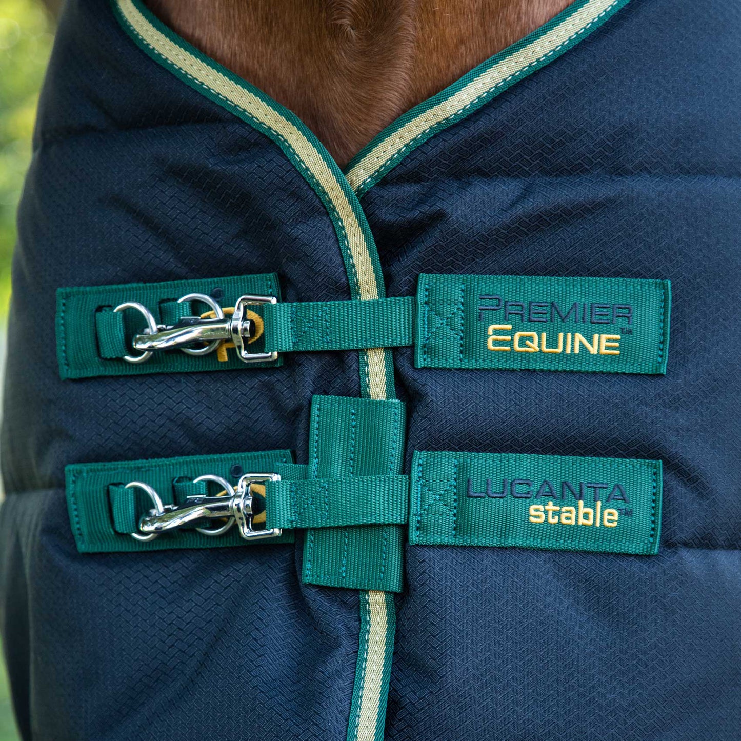 Couverture d’Écurie Lucanta 450g Demi Stable | Polyester 600D Respirant & Coussin de Garrot Néoprène