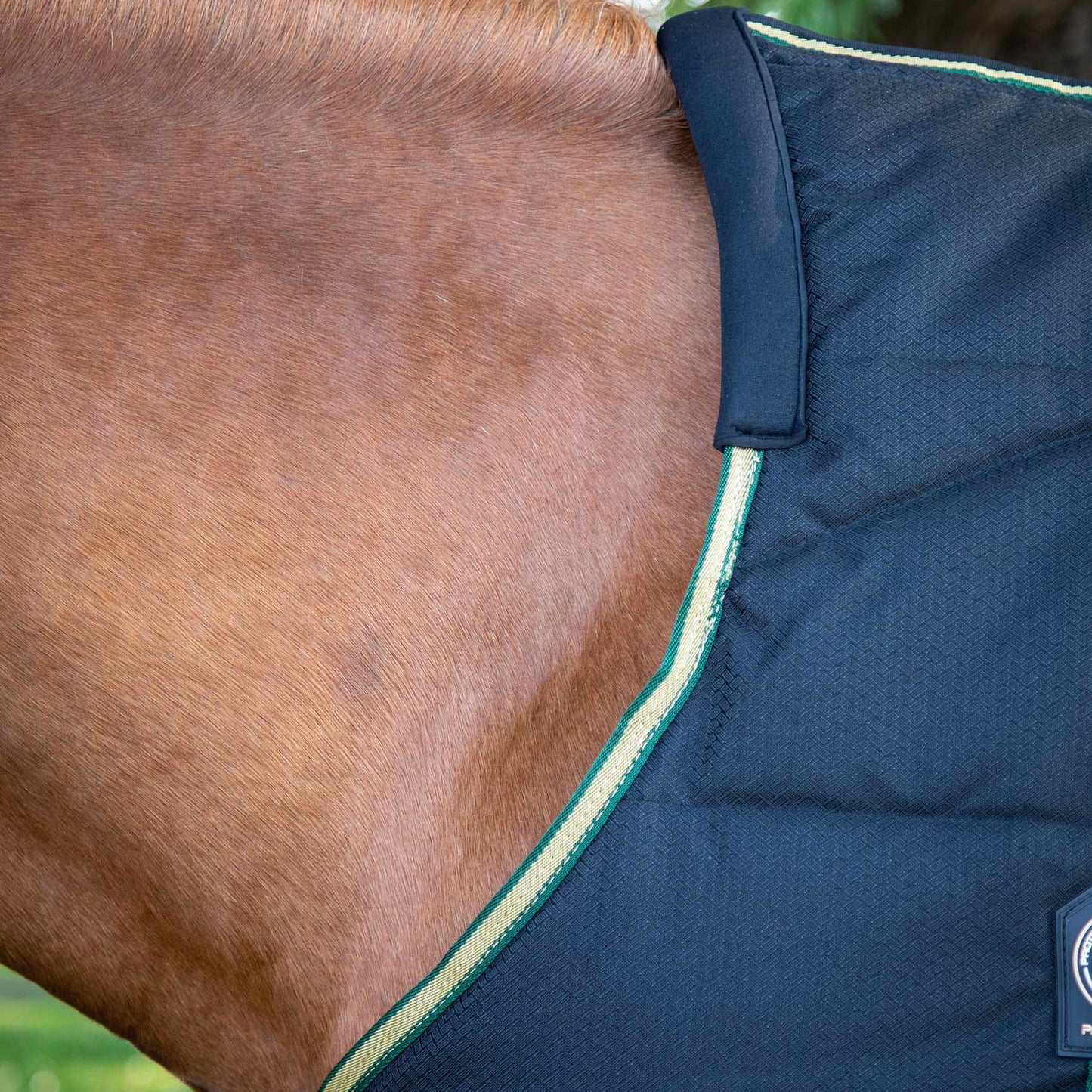 Couverture d’Écurie Lucanta 450g Demi Stable | Polyester 600D Respirant & Coussin de Garrot Néoprène