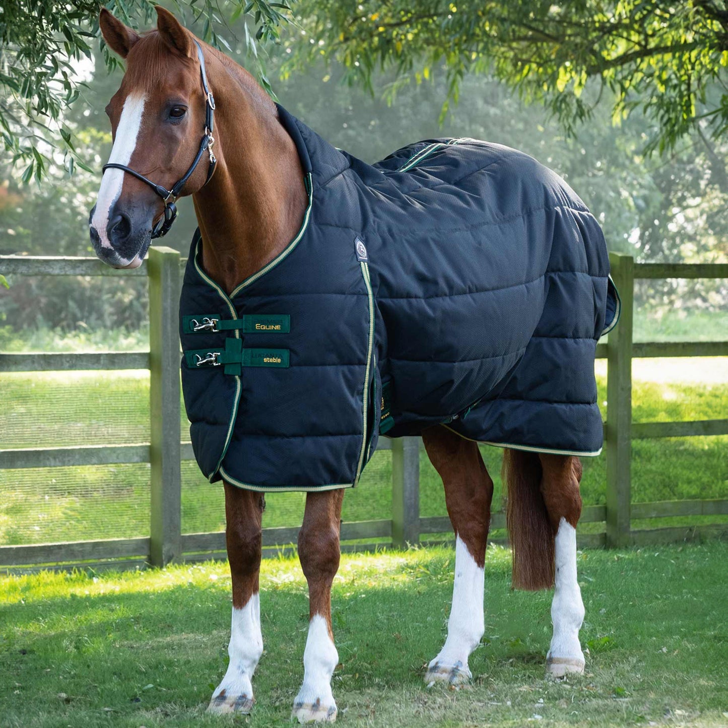 Couverture d’Écurie Lucanta 450g Demi Stable | Polyester 600D Respirant & Coussin de Garrot Néoprène