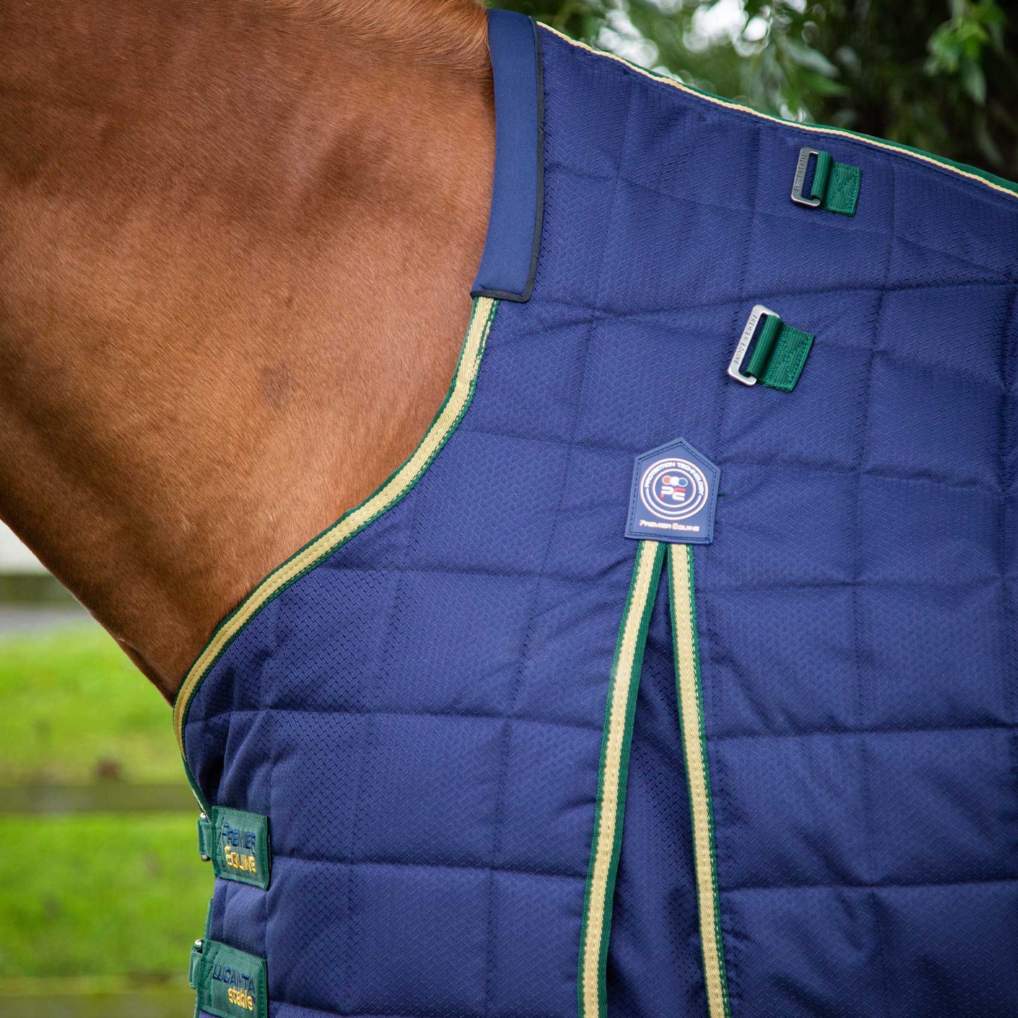 Couverture d’Écurie Lucanta 450g avec Couvre Cou Amovible | Polyester 600D Respirant & Coussin de Garrot