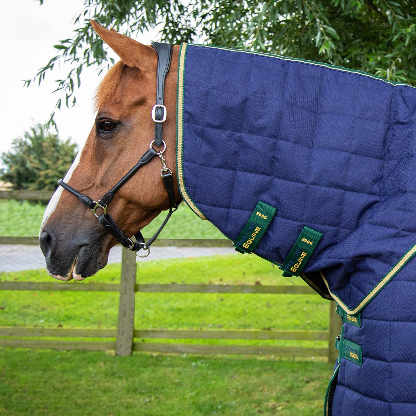 Couverture d’Écurie Lucanta 450g avec Couvre Cou Amovible | Polyester 600D Respirant & Coussin de Garrot