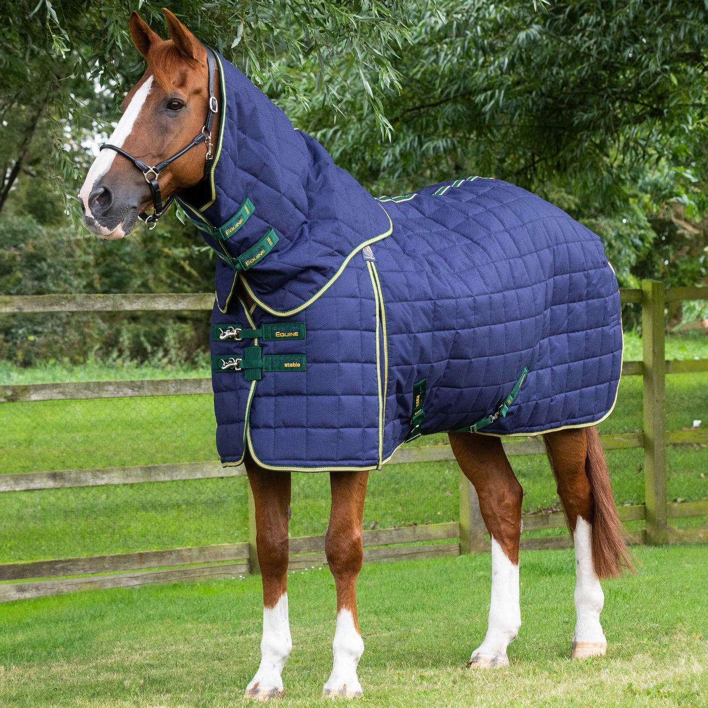 Couverture d’Écurie Lucanta 450g avec Couvre Cou Amovible | Polyester 600D Respirant & Coussin de Garrot