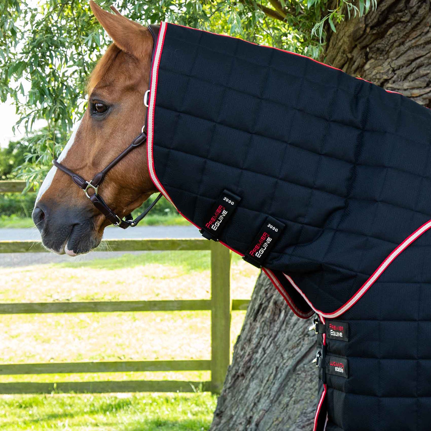 Couverture d’Écurie Lucanta 450g avec Couvre Cou Amovible | Polyester 600D Respirant & Coussin de Garrot